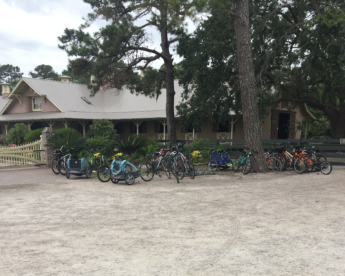 a group of bicycles parked in front of a building