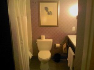 a bathroom with a toilet and a picture on the wall