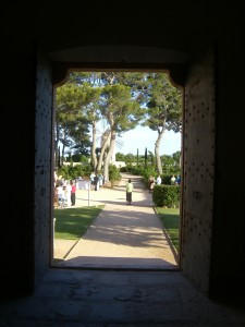 a view through a window of a park