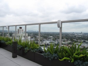 a balcony with plants and a view of the city
