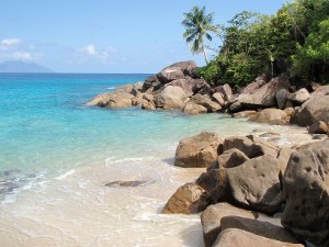 a beach with rocks and trees