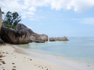 a sandy beach with rocks and trees