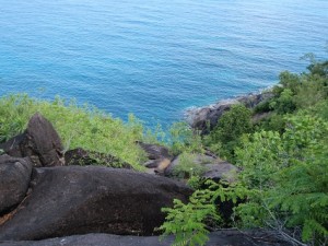 a rocky cliff with trees and water