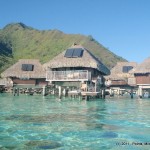 Hilton Moorea Over Water Bungalow