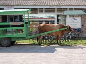 a cow pulling a green cart