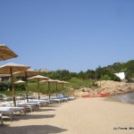 a beach with umbrellas and chairs