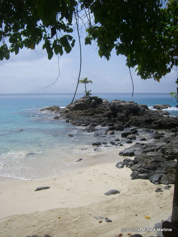 a beach with rocks and trees