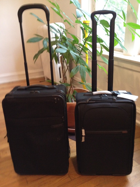 a group of luggage next to a plant