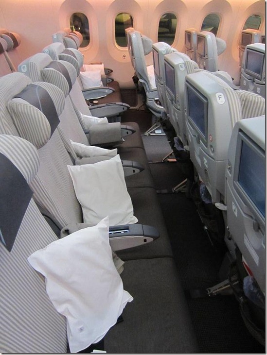 Dreamliner Economy Seats Middle Row Side View