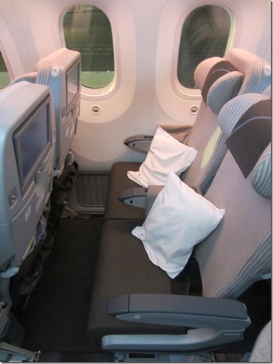Dreamliner Economy Seats Side Seats Side View