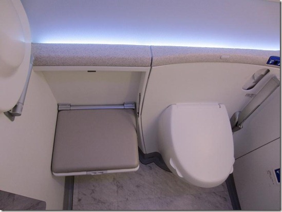Dreamliner Handicap Bathroom