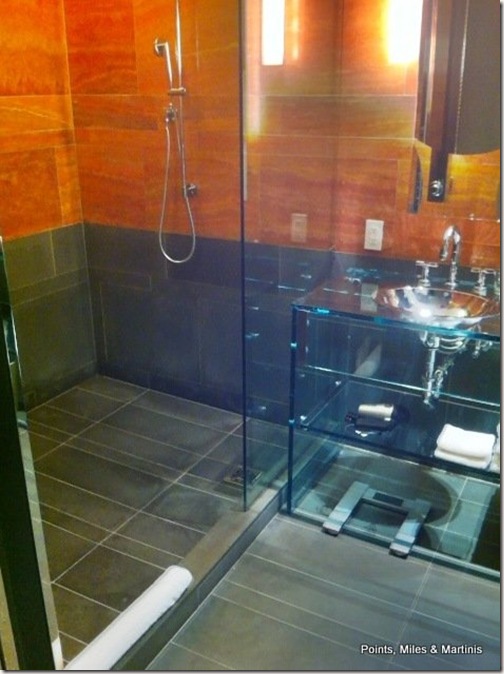 Hyatt Andaz 5th Ave Splash Suite Shower