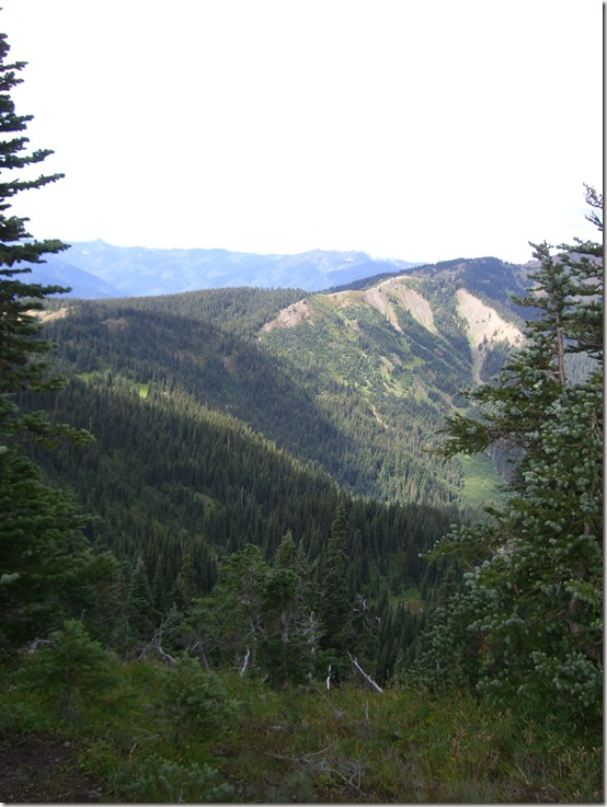 Olympic National Park View 1