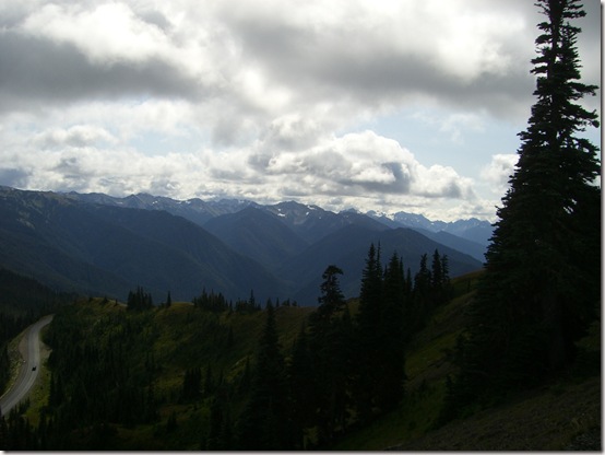 Olympic National Park View 2