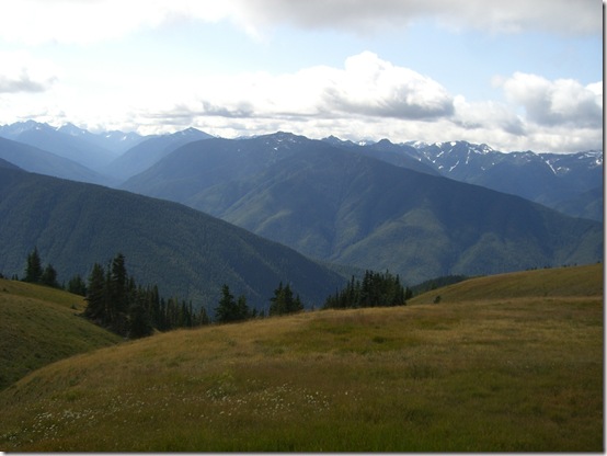 Olympic National Park View 4