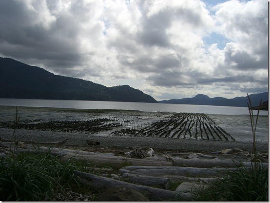 Orcas Island Farm