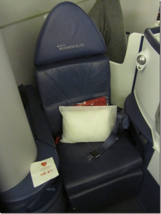 Delta 777 Business Elite Seat View