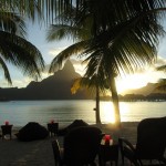 a beach with palm trees and chairs