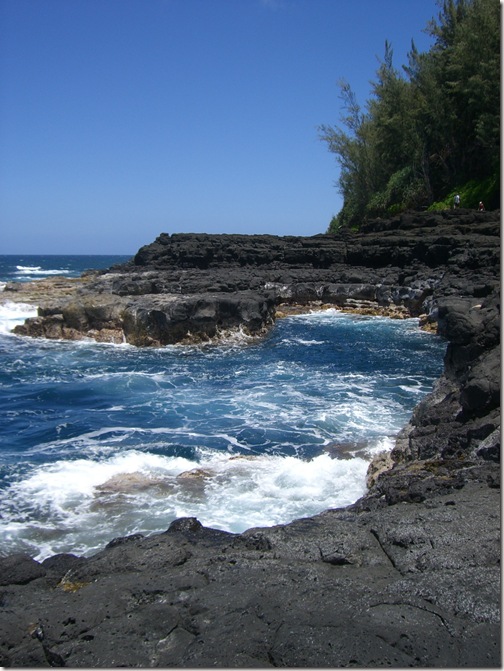 Walk to Kauai Queens Bath 5