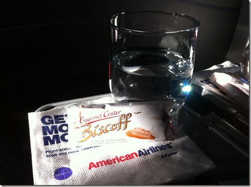 American Airlines Biscoff Cookies