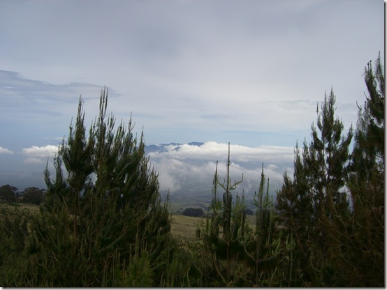 Haleakala view