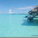 a dock over water with a thatched roof