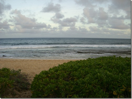 Grand Hyatt Kauai Beach 3