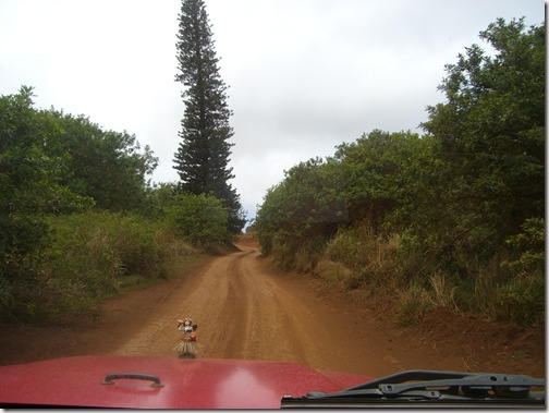 Lanai Drive To Garden of Gods 13