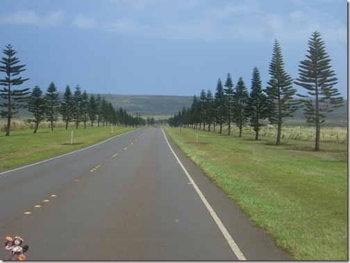 Lanai Drive To Garden of Gods 2