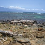 a rocky beach with a mountain in the background