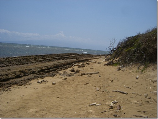 Shipwreck Beach 1