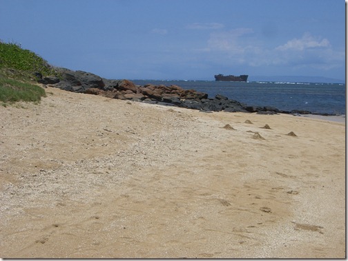 Shipwreck Beach 6