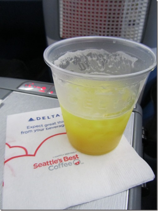 Delta 767 with Flat Bed Pre Departure Drink.jpg