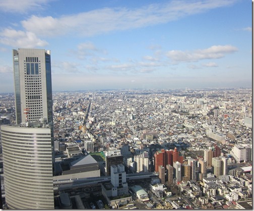 Tokyo View from Park Hyatt
