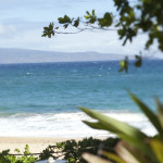 a beach with a body of water and a tree