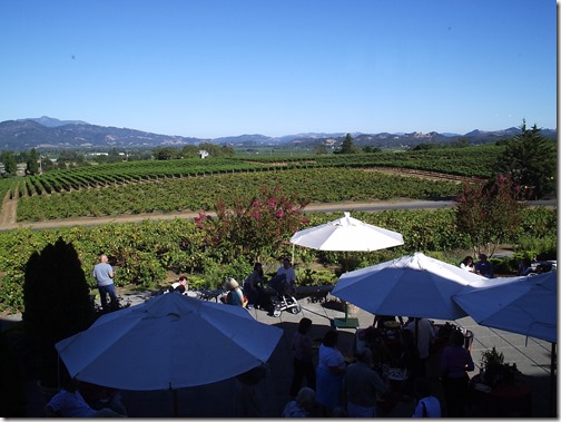 Francis Ford Coppola Winery View 2