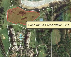 Honokahua Preservation Site