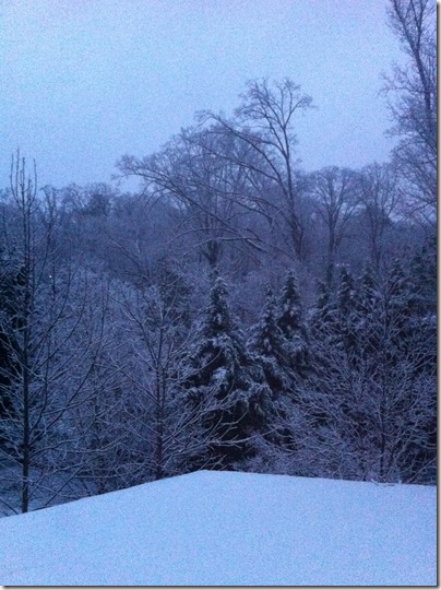 Atlanta Snowy Morning