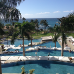 a pool with palm trees and people in it