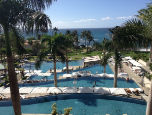 Redeem for the Andaz Maui, and get 20% back.