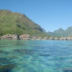 a group of houses in the water