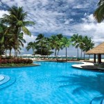 a swimming pool with palm trees and a hut