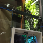 a glass wall with plants on it