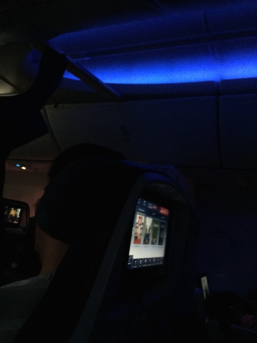 Delta 737-900ER Cabin Lighting