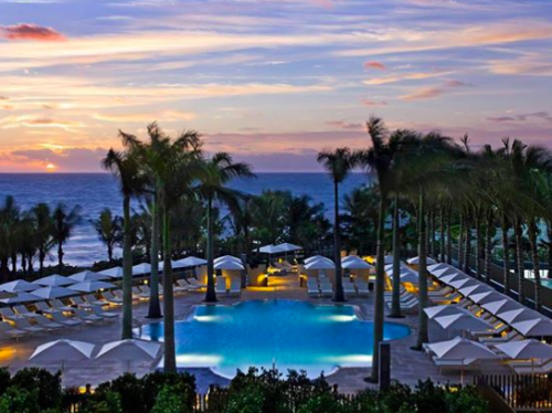 a pool with palm trees and umbrellas by the ocean