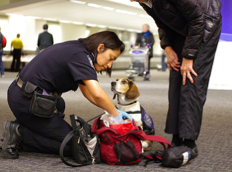 Global Entry Revoked