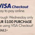 a close-up of a visa checkout