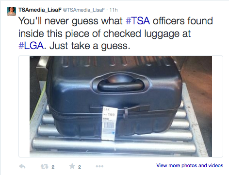TSA Finds Chihuahua In Checked Bag At LGA