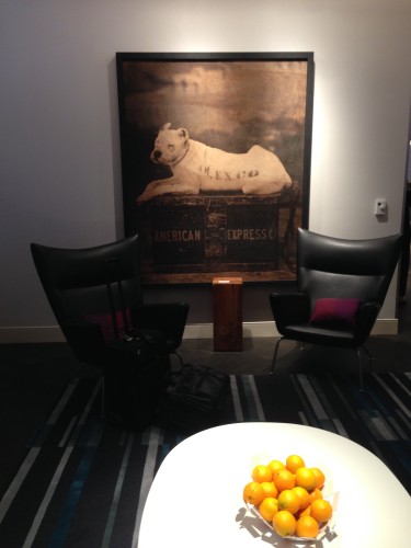 a room with a painting of a dog and oranges