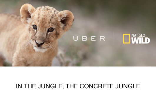 UberLions? Uber's Wildest Campaign Yet!